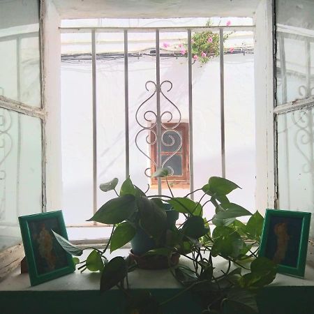 Villa Merced Вехер-де-ла-Фронтера Екстер'єр фото